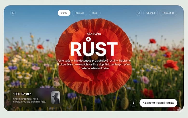 Eshop rostliny